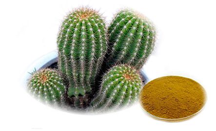 Hoodia gordoni sa Reduslim