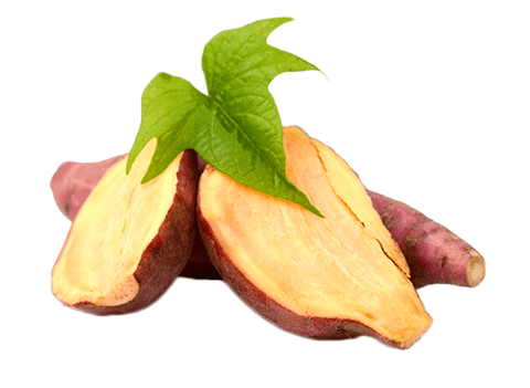 Yacon korijen u Reduslim